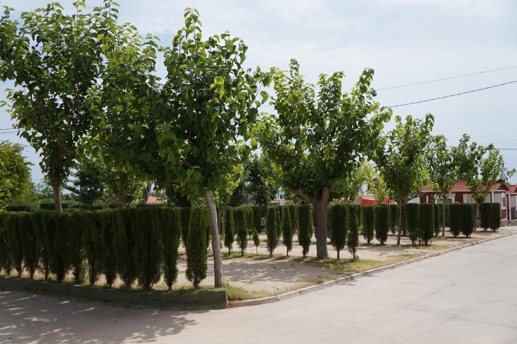 Camping Los Pinos Peñíscola Eksteriør billede