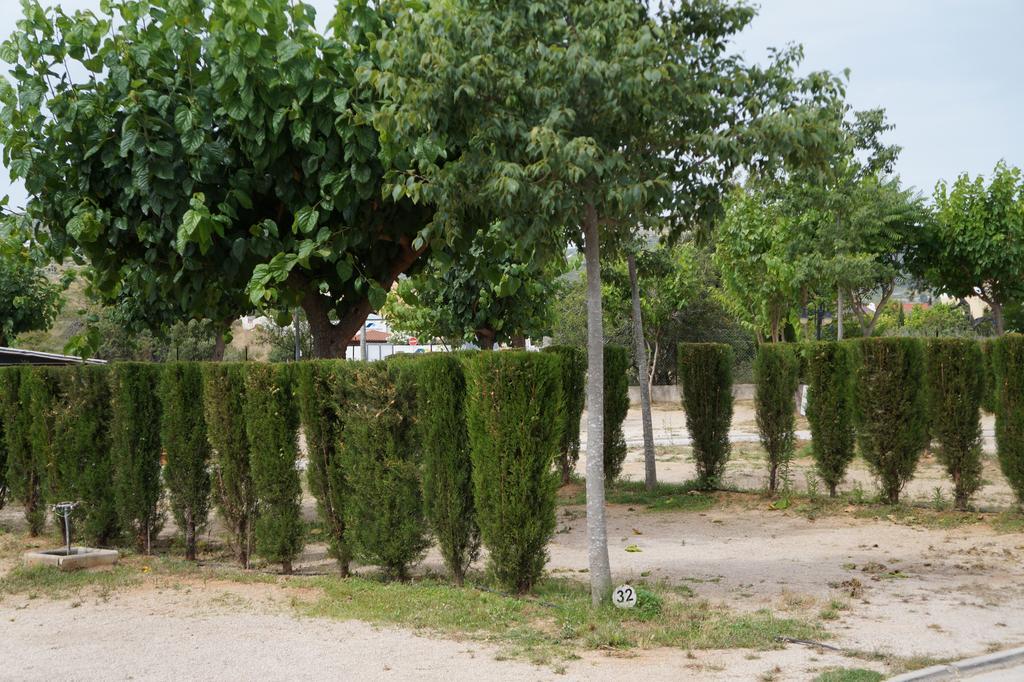 Camping Los Pinos Peñíscola Eksteriør billede